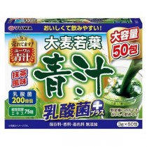 DB夢幻熊熊#【日本】YUWA 乳酸菌純大麥若葉青汁(抹茶風味）x50包盒裝#1841